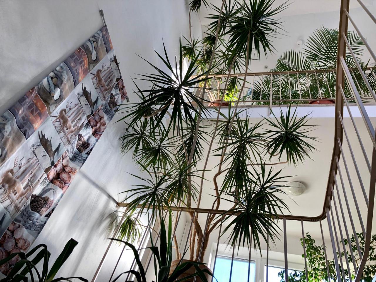 Hotel Hilgers Duren ภายนอก รูปภาพ